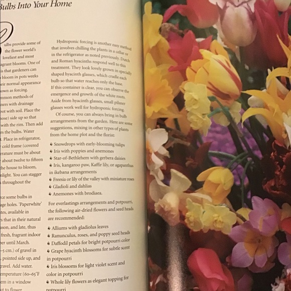 The 400 Best Garden plants encyclopedia - Picture 8 of 8